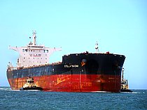 NAOMI — Bulk Carrier, MALTA flag, built 2016