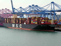 MSC DITTE — Container Ship, Liberia flag, built 2016