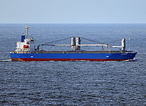SUN BRAVE — General Cargo Ship, Singapore flag, built 2015