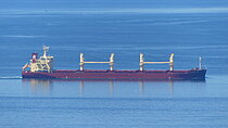 DEVBULK SERVET — Bulk Carrier, Marshall Islands flag, built 2020