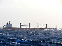 ELLIREA — Bulk Carrier, MALTA flag, built 2017