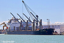 REIWA BREEZE — Bulk Carrier, Singapore flag, built 2016