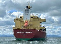DEVBULK DENIZ — Bulk Carrier, Republic of the Marshall Islands flag, built 2020