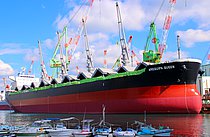 AREQUIPA QUEEN — Bulk Carrier, LIBERIA flag, built 2016