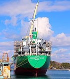 WONDERFUL GRACE — General Cargo Ship, PHILIPPINES flag, built 2016