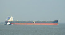 JUBILANT DREAM — Bulk Carrier, Panama flag, built 2016