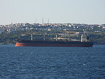 WOOYANG BELOS — Bulk Carrier, KOREA flag, built 2016