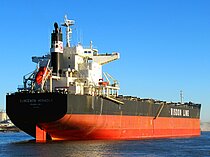 SAKIZAYA MIRACLE — Bulk Carrier, PANAMA flag, built 2017