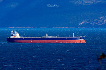 SEACHARM — Oil And Chemical Tanker, MARSHALL ISLANDS flag, built 2018