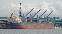 MEDI ATLANTICO — Bulk Carrier, Republic of Liberia flag, built 2016