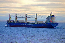 TIAN EN — Specialized Cargo Ship, China flag, built 2017