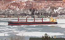 BULK DESTINY — Bulk Carrier, PANAMA flag, built 2017