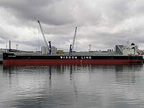 SAKIZAYA QUEEN — Bulk Carrier, Marshall Islands flag, built 2018