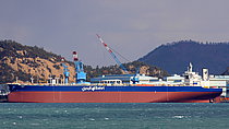 QAMRAN — Oil And Chemical Tanker, SAUDI ARABIA flag, built 2018