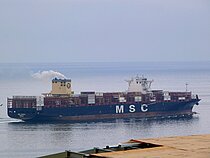 MSC CAROLE