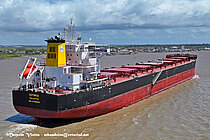 COTINGA — Bulk Carrier, MALTA flag, built 2019