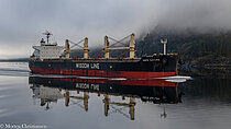AMIS NATURE — Bulk Carrier, Liberia flag, built 2018