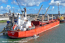 MV BAHRI HAYA — Bulk Carrier, Saudi Arabia flag, built 2017