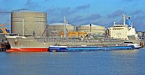 SOUTHERN QUOKKA — Oil And Chemical Tanker, LIBERIA flag, built 2017