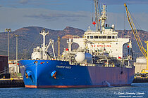 TRAMMO PARIS — Gas Tanker, Singapore flag, built 2017