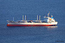 ORANGE ICE — Specialized Cargo Ship, Panama flag, built 2018