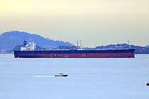 NEW HONOR — Oil And Chemical Tanker, HONG KONG flag, built 2019