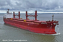 VENEZIA — Bulk Carrier, MALTA flag, built 2017