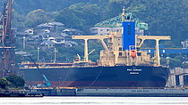 NSU XANADU — Bulk Carrier, Liberia flag, built 2018