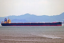 NSU BRILLIANCE — Bulk Carrier, LIBERIA flag, built 2019