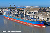 RUBY CONFIDENCE — Bulk Carrier, Portugal (MAR flag, built 2016