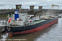 TAHO ASIA — Bulk Carrier, Liberia flag, built 2018