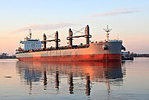 LADY GRACE — Bulk Carrier, Philippines flag, built 2017