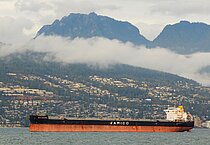 MEDI GINEVRA — Bulk Carrier, Liberia flag, built 2018