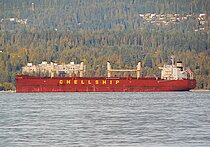 DARYA VIDYA — Box-Shaped Bulk Carrier Compliance With Solas Chapter Xii, Marshall Islands flag, built 2021