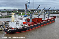 ULTRA OSORNO — Bulk Carrier, PANAMA flag, built 2018