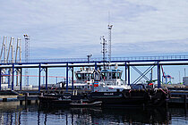 PALLAS — Tug, Estonia flag, built 2019