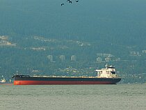 SANTA ISABEL — Bulk Carrier, PANAMA flag, built 2020