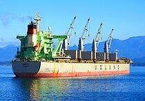 SARITA — Bulk Carrier, NORWAY flag, built 2019