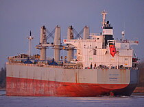 ELENI M II — Bulk Carrier, Malta flag, built 2020