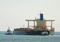 NSU YOUNG STAR — Bulk Carrier, LIBERIA flag, built 2019