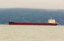 NSU ZENITH — Bulk Carrier, Panama flag, built 2019