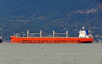 INFINITY SKY — Bulk Carrier, PANAMA flag, built 2018