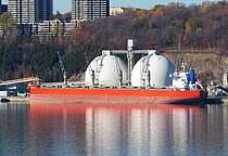 DREAM SKY — Bulk Carrier, PANAMA flag, built 2019