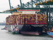 MSC MIA — Container Ship, PANAMA flag, built 2019