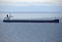 FJ RUBY — Bulk Carrier, PANAMA flag, built 2019