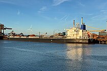 TOKYO QUEEN — Bulk Carrier, SINGAPORE flag, built 2020