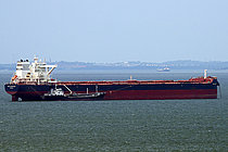 AIN GARZIZ — Bulk Carrier, MARSHALL ISLANDS flag, built 2019