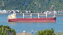LEM GLADIOLUS — Bulk Carrier, MARSHALL ISLANDS flag, built 2020