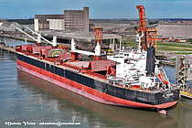 AL DHAFRA — Bulk Carrier, Liberia flag, built 2019