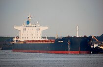 MALENA — Bulk Carrier, Panama flag, built 2019